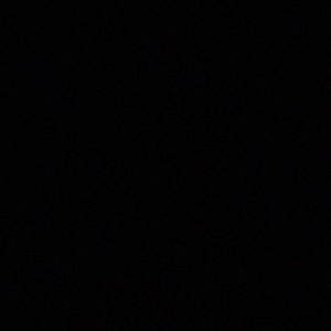 Meet your Posher, Maya